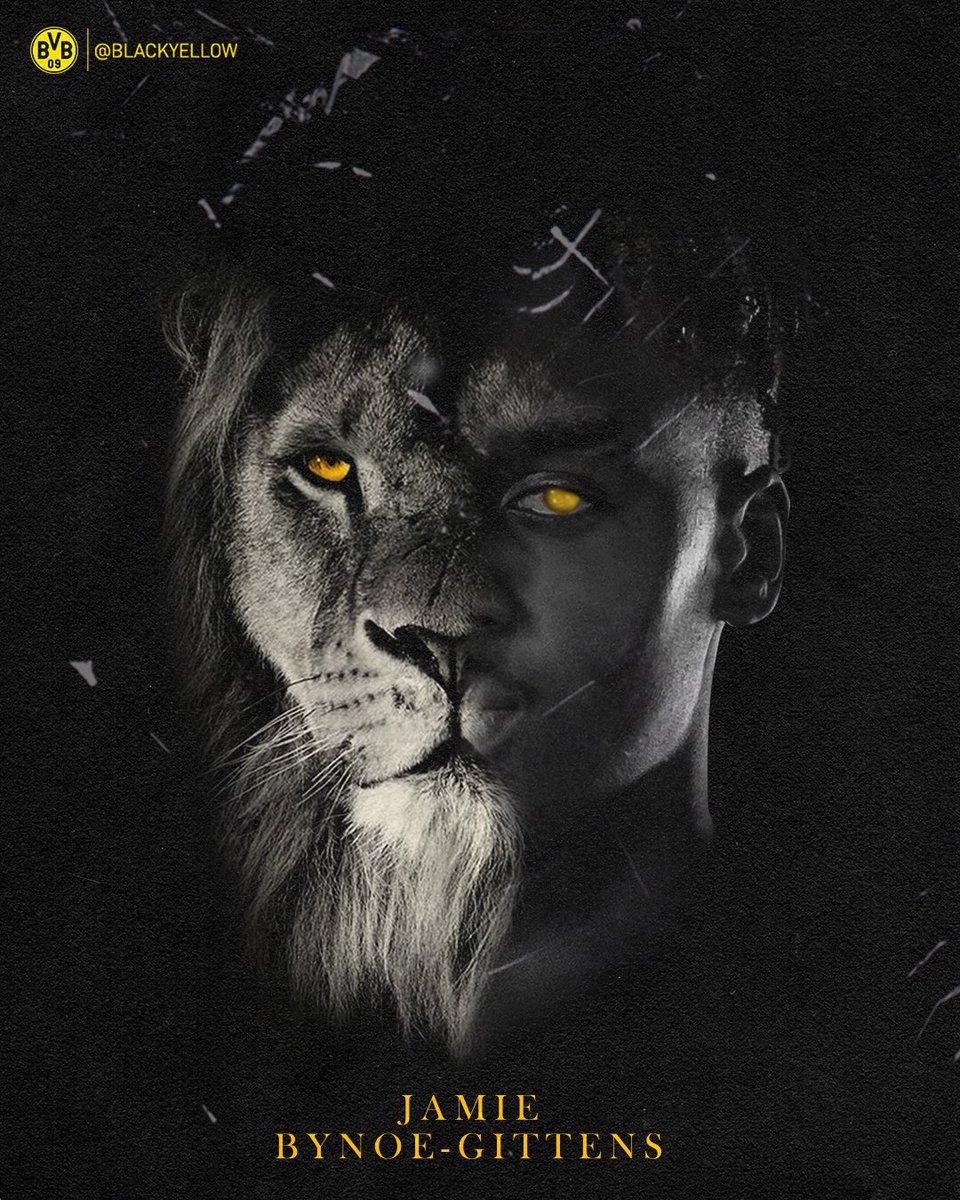 BlackYellow's tweet photo. 🦁🦁🦁🦁🦁🦁🦁🦁🦁 https://t.co/suYbiiBwOg