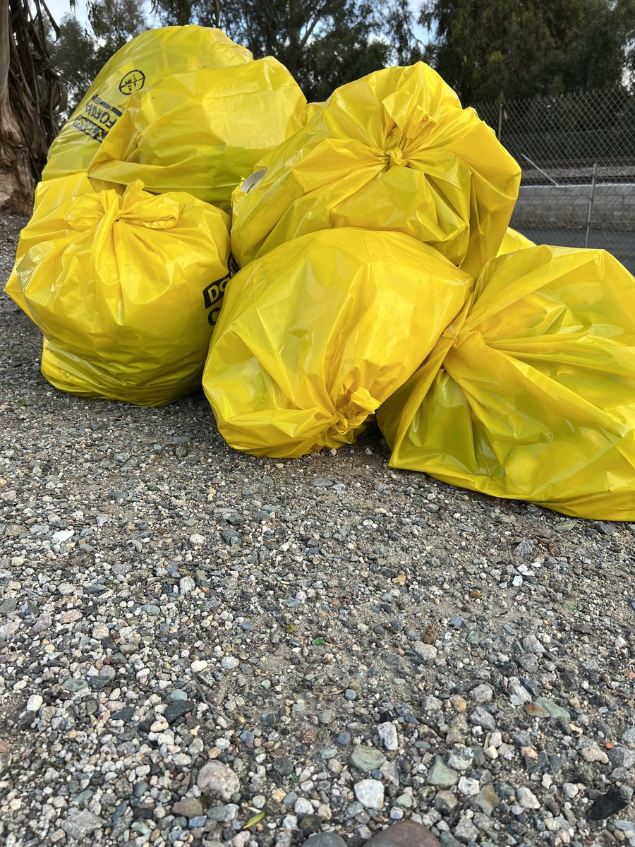 🍀 Ed Murray on Twitter "RT amie_zamudio Yellow trash bags & yellow