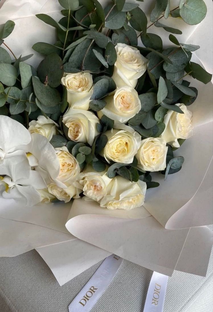 Nawal_1450's tweet photo. أهدي باقة من الورود💐✨
شكراً وعرفان لشركائناً في #بريد_أكتشافك 📬 لما قدموه لنا خلال الأيام السابقة ونتمنى لهم التوفيق والنجاح ،وبما يقدمونه خلال حساباتهم من تنوع بالمحتوى وعلم وفائدة للمجتمع
شكراً لكم✨
@Tawteini 
@N_Scientific 
@m3ayrh 
@Jobs2Bio 
@buildcreerlife 
@Mashorah_SA https://t.co/l6Sf0nDwbs