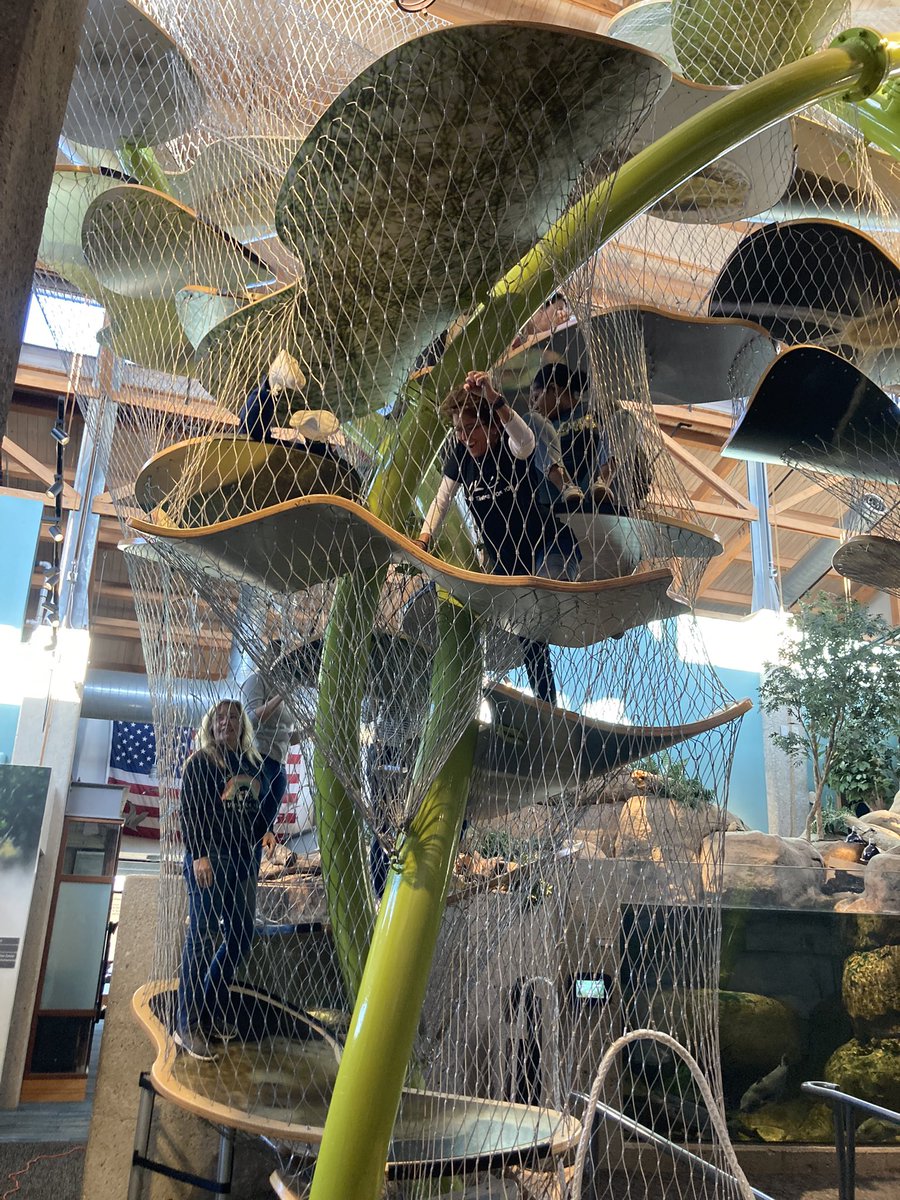 Elizabeth Kirk tweet media