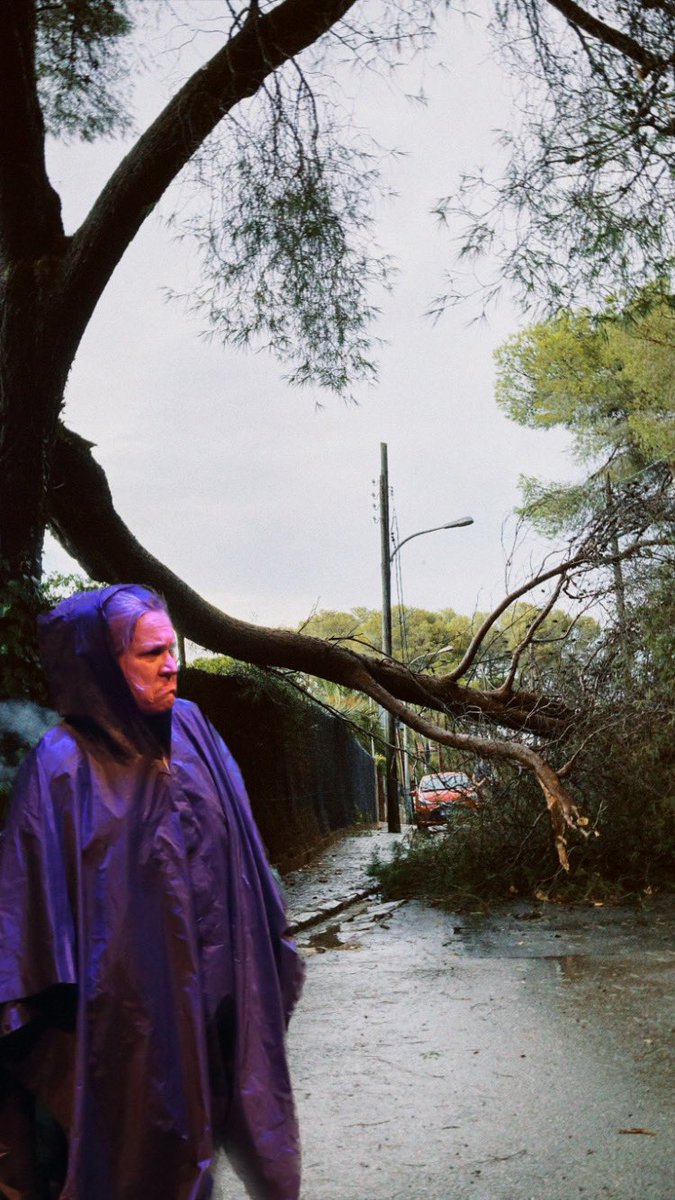 QARSTEATRE's tweet photo. Dimecres que ve reestrenem #Chipko a la @SalaAtrium 🍃🦋🌳🍂🐍 
L’Almond (@AnnaGuell1) i la Julia Butterfly Hill (@taniaabanus) us hi esperen🤭

Vindreu? Hi serem fins el 5/03!
👉🏻 Entrades anticipades amb un 20% de descompte a https://t.co/DcOnVqWwx9 https://t.co/0swpEuKldh