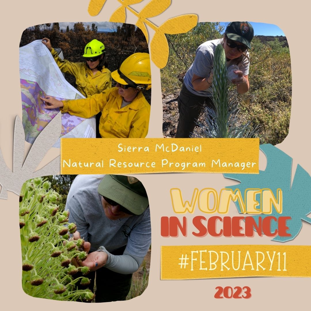 FireAviationNPS's tweet image. #February11 - Today, we celebrate the International Day of Women and Girls in Science! 
There are some unique careers in the @NatlParkService, and many are science focused. If you are interested in a science career, hear what makes them fun! #WomenInScience #FireScience 🧵