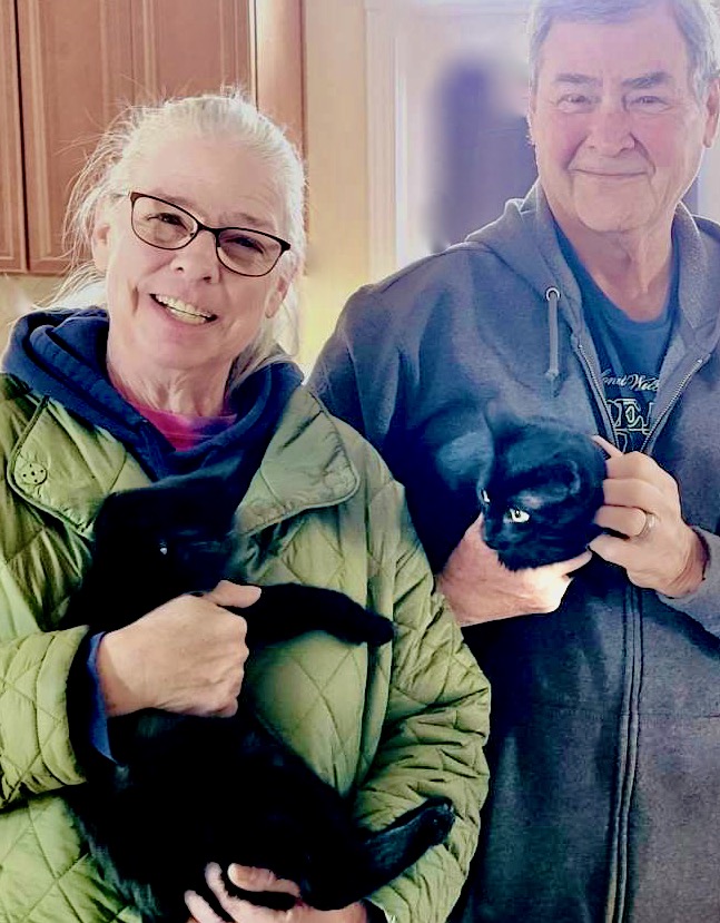 🎉Double Happy Dance this #Caturday!🎉We love when we manage to get siblings adopted together! Nala &amp; Simba went home today &amp; will live the good life as a pair!💞Congrats new family!! #kittens #kitten #SaturdayVibes #Saturday #PositiveVibes #cat #cats #AdoptDontShop #Virginia #DC