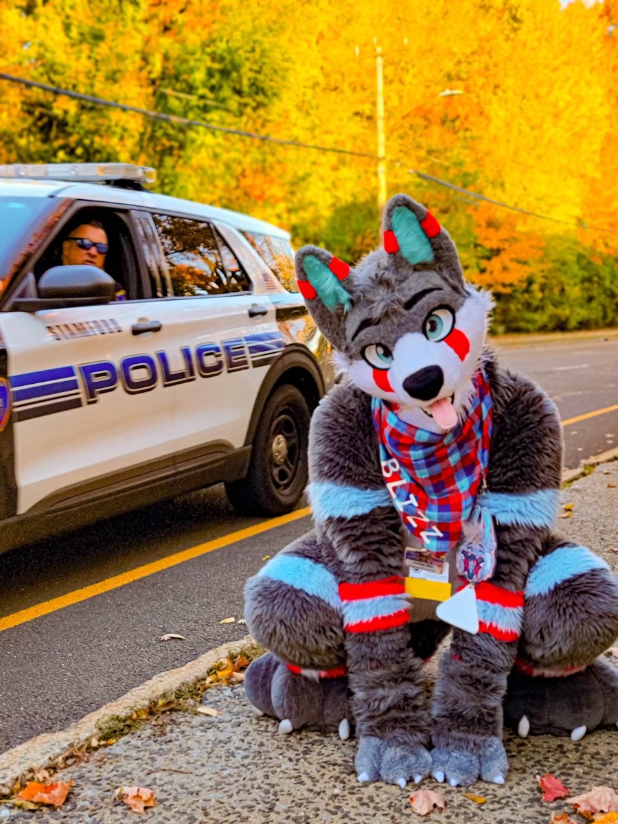 BlizzTheWolf's tweet image. *chuckles* I’m in danger 😀

📸: @ItsNightzy