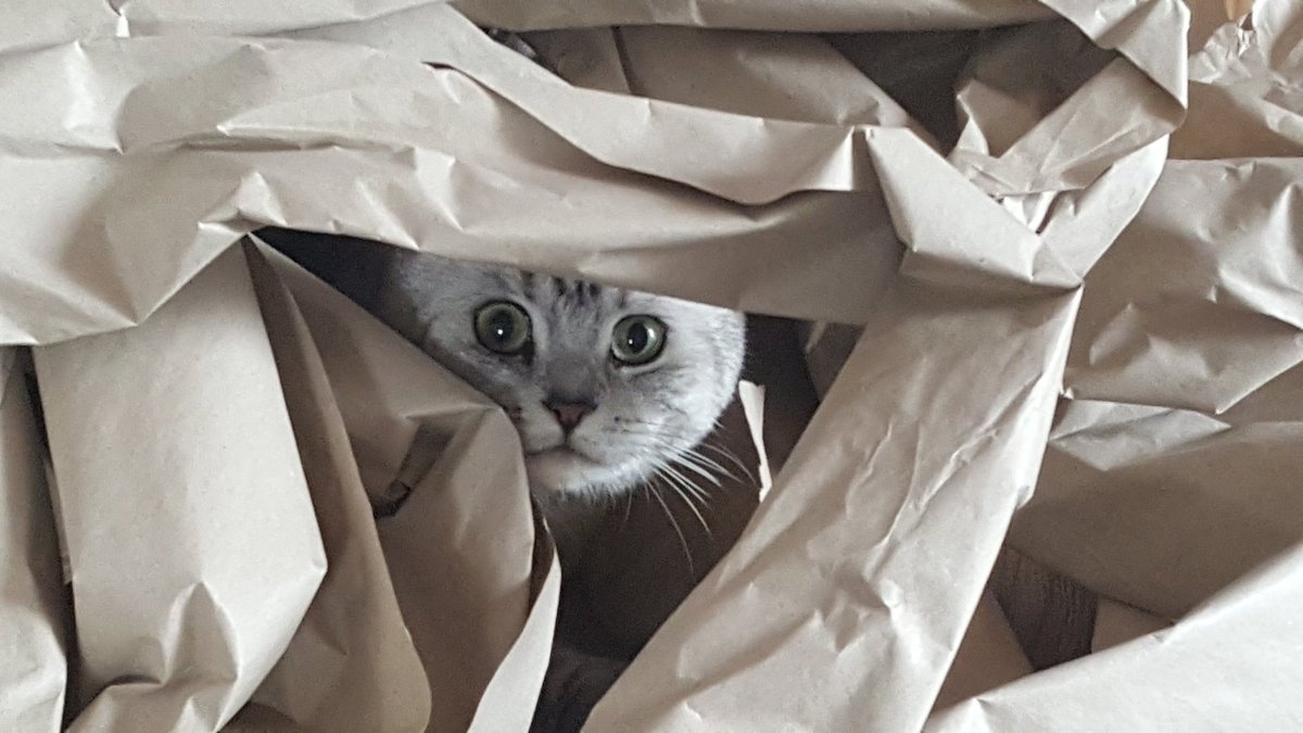 Es raschelt im Karton..... 😁