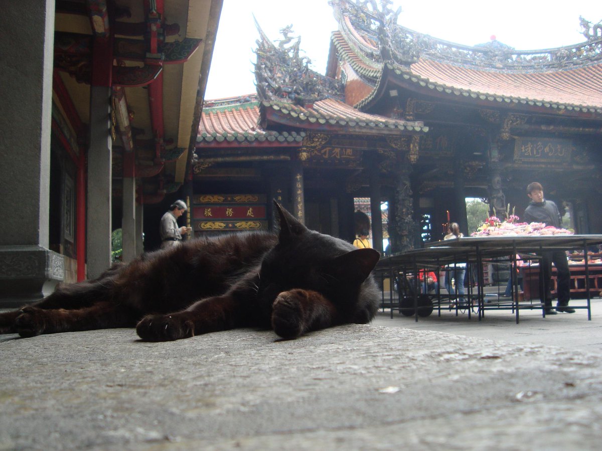 Jeffrey Kotyk tweet media