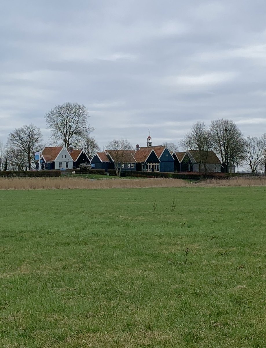 Meitje 🕊️ tweet media