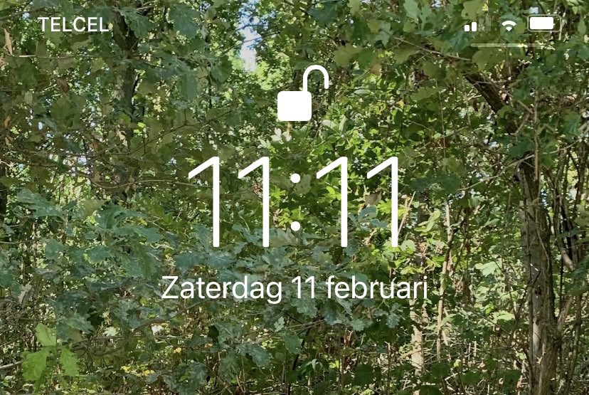 Crypto Ponii tweet media