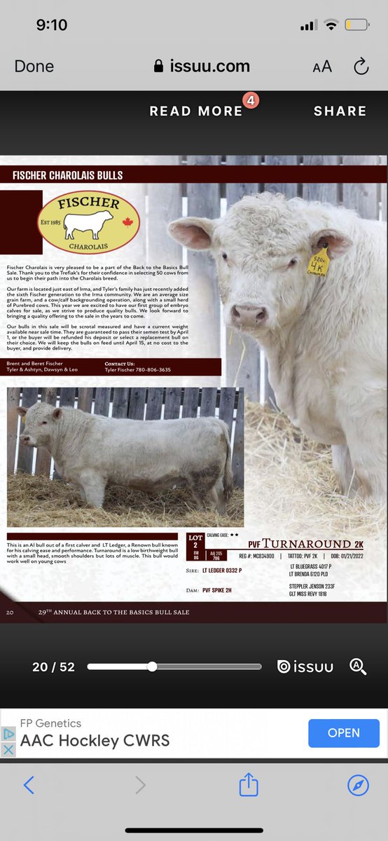 Fischer Charolais (@FCharolais) / Posts / X