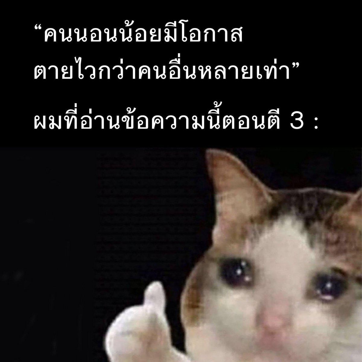 อีเหี้ย5555555555555555555