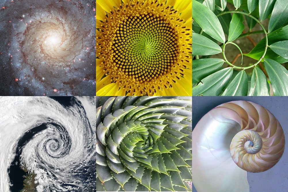 ZappVibes's tweet photo. @WolfyTheWitch Therefore the human eye is trained by default to recognize this pattern even when we're not aware of it, it turns an image into something familiar, a certain harmony that's just right, artists use this order because of that, and memes are made because of it's "perfection" https://t.co/aSPriADoGR