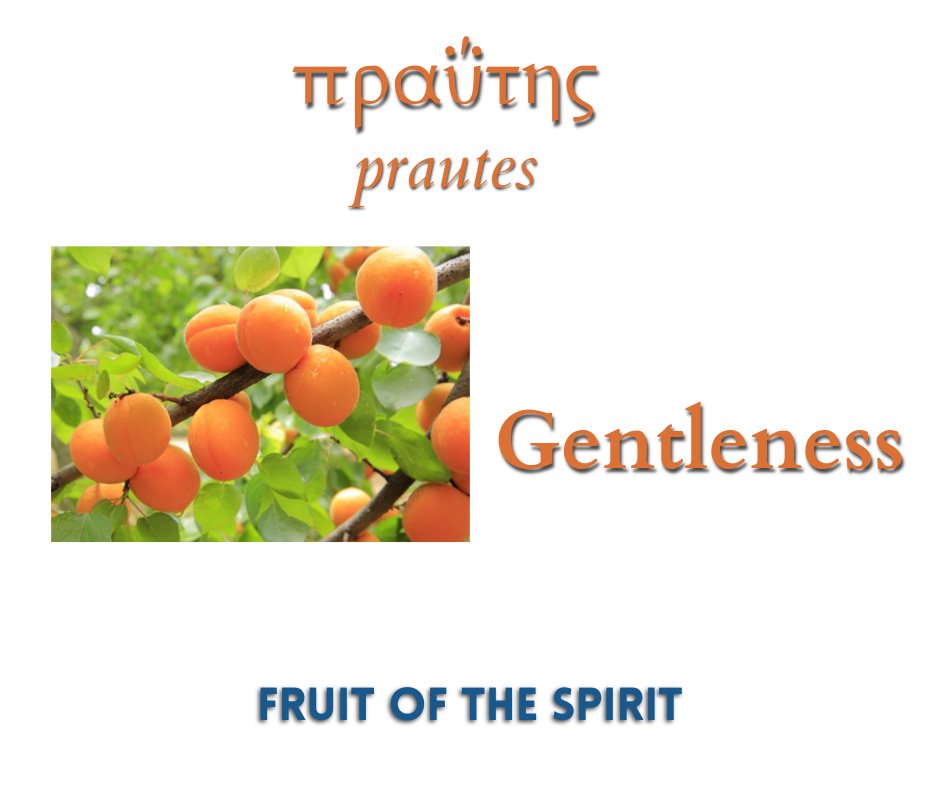 Lucus Levy Keppel tweet media