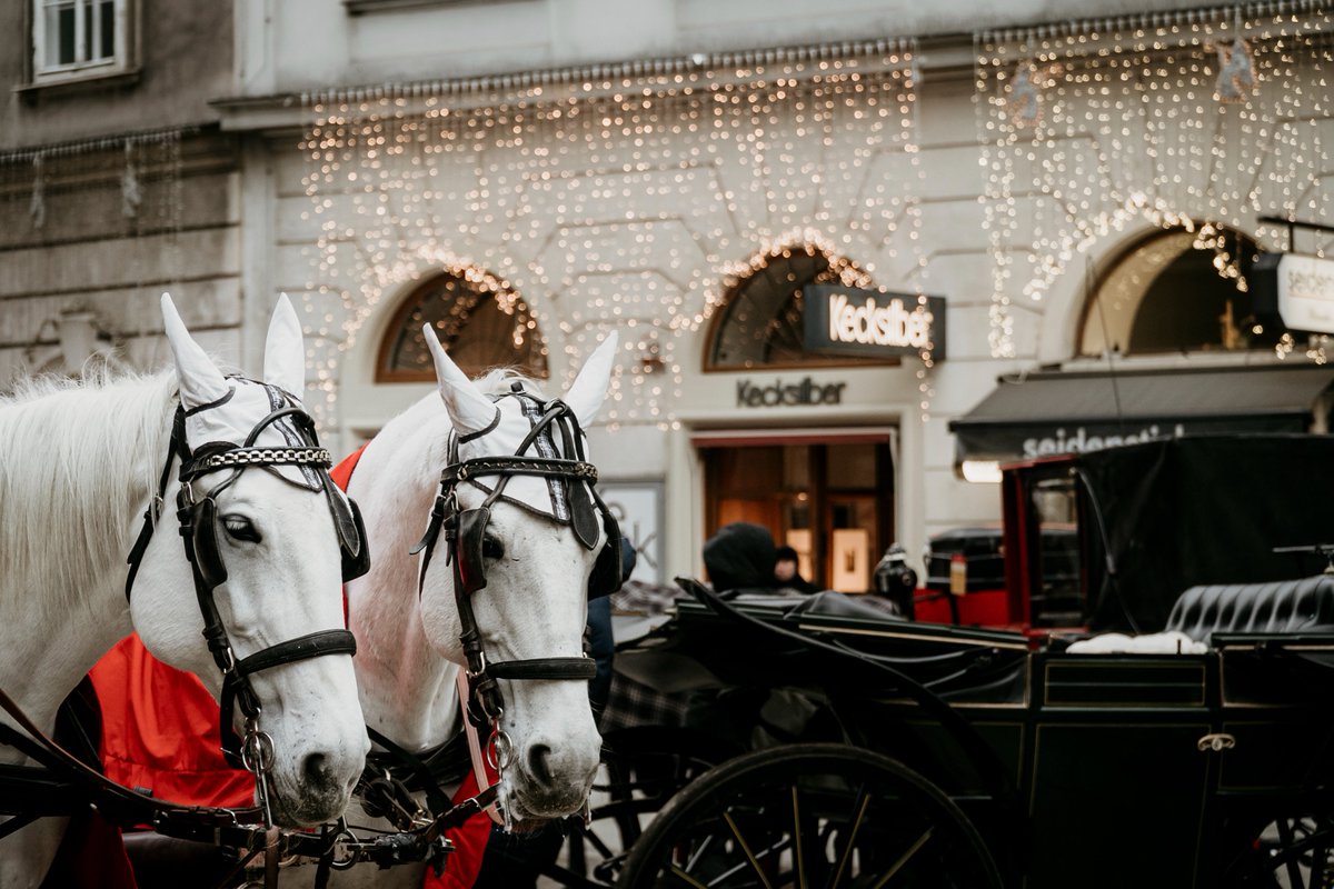 studioGRACIOUS's tweet photo. Final #travel of 2022 was a return to #Vienna - a city I adore - for more #ChristmasMarkets 🎅 and #Holiday cheer 🍷 #favefour #photography #graciouspix #flashmob #waltz #StreetPhotography #SonyAlpha #Austria 🇦🇹 https://t.co/OttoGhKmmv