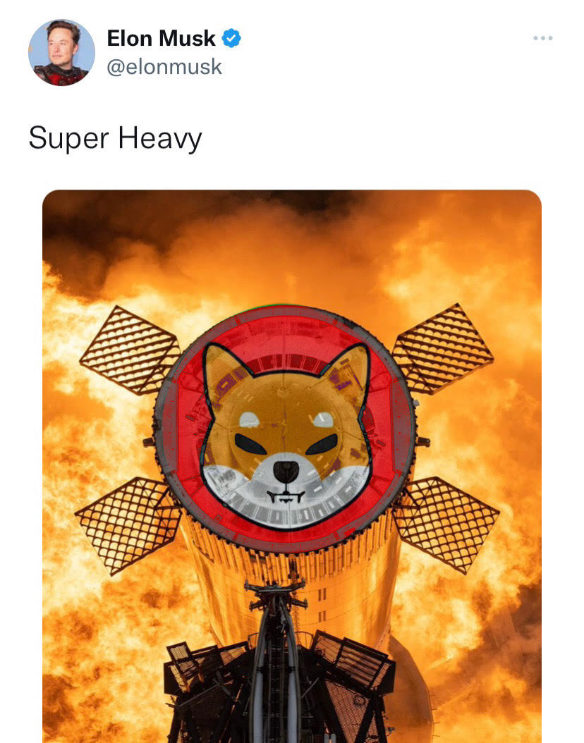 SHIB HODLER tweet media