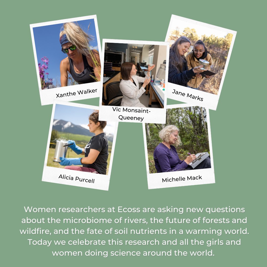 Happy #InternationalDayofWomenandGirlsinScience! Here are a few of the great people shaping Ecoss research. #WomenInSTEM