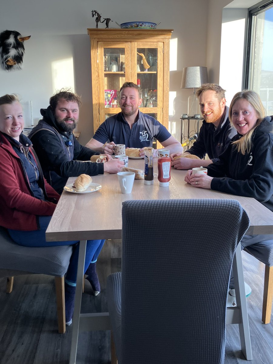 🥳The look of happy faces as we passed our first TB Test!!🥳 Such a relief to get a clear test🐄❤️ . . . #moo2yoo #februdairy #dairycows #tbtest #backbritishfarming #britishdairy #lovecows #britishfarmers #farm365 #farm24 #alwaysfarming #farmlife #familyfarm #proudtoproduce