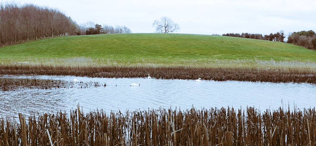 Feudaltimes's tweet photo. Bit of restorative nature today. Anyone else just bloody dog tired at the minute? Tips welcome.#wellbeing #brokenspring #inspireme https://t.co/8PIpEjprYF