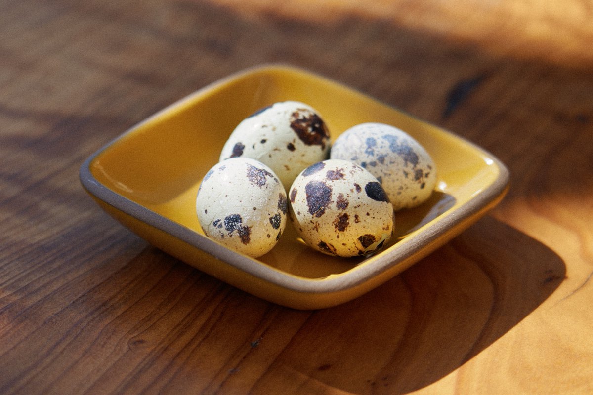 Cafe Ohlone, Berkley 2022 — shot for <a href="/heathceramics/">Heath Ceramics</a> #photography 
--
instagram.com/hugoahlberg/