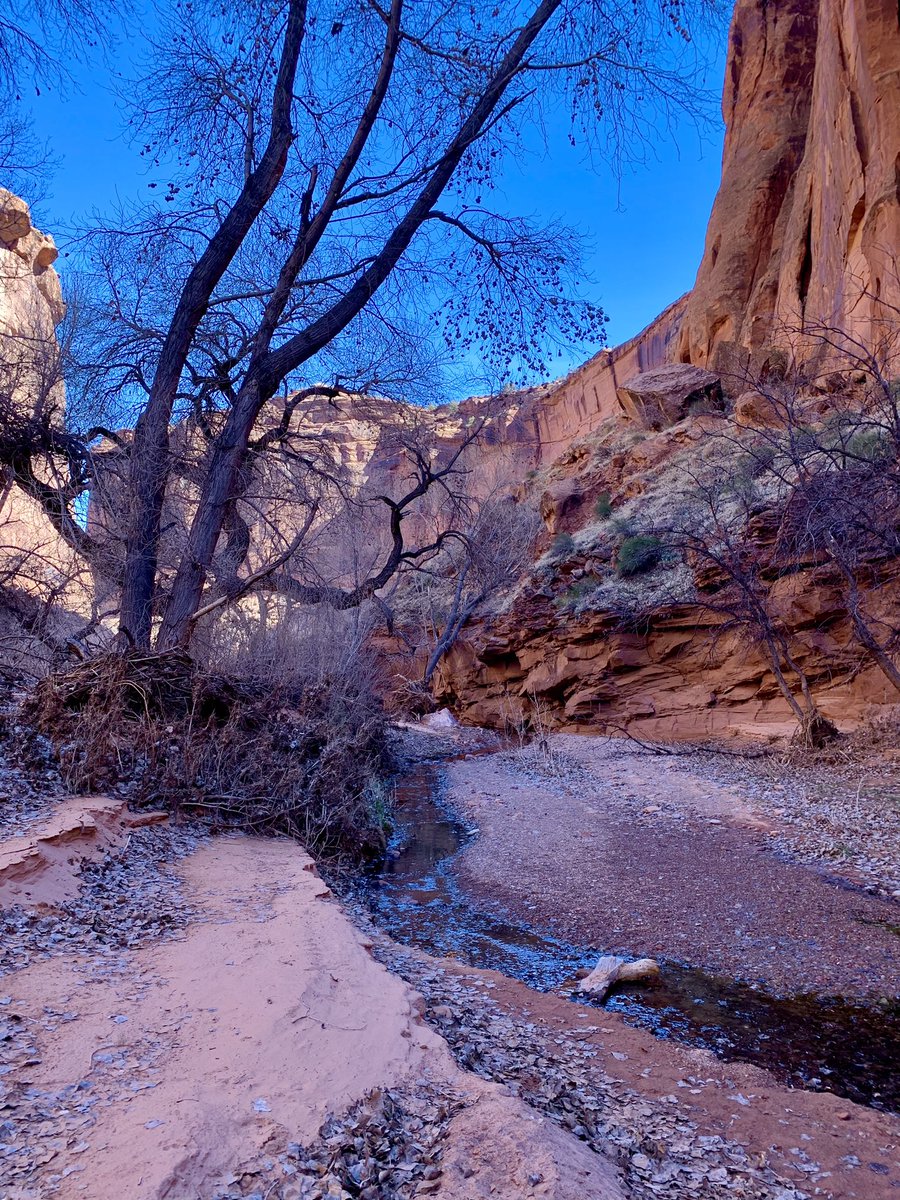 North_Wash's tweet photo. Saturday’s hike, frigid in the morning, warm by afternoon. That’s Moab. Spent the day with Jeff and Tammy Tucker on a hike through a wash near the Bow and Arrow slot. Tammy was always finding good spots to hang a rope from to rappel. It was also Tammy’s birthday 🥳. Perfect day! https://t.co/OzG4uIipS6