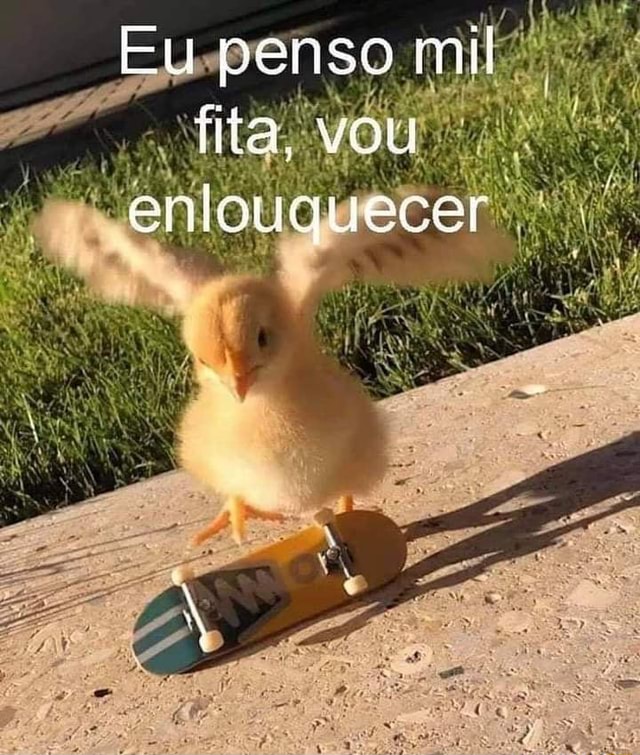 Hugo maldito bom malandro 🍁 tweet media