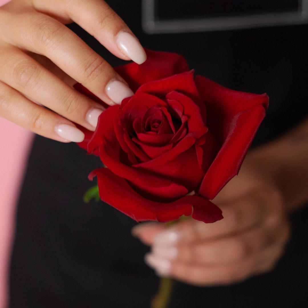 AmazingGFlowers's tweet photo. Counting down the hours until valentines day to surprise you !!⁠
https://t.co/V88oZxlUgT https://t.co/fd1dfqugeh