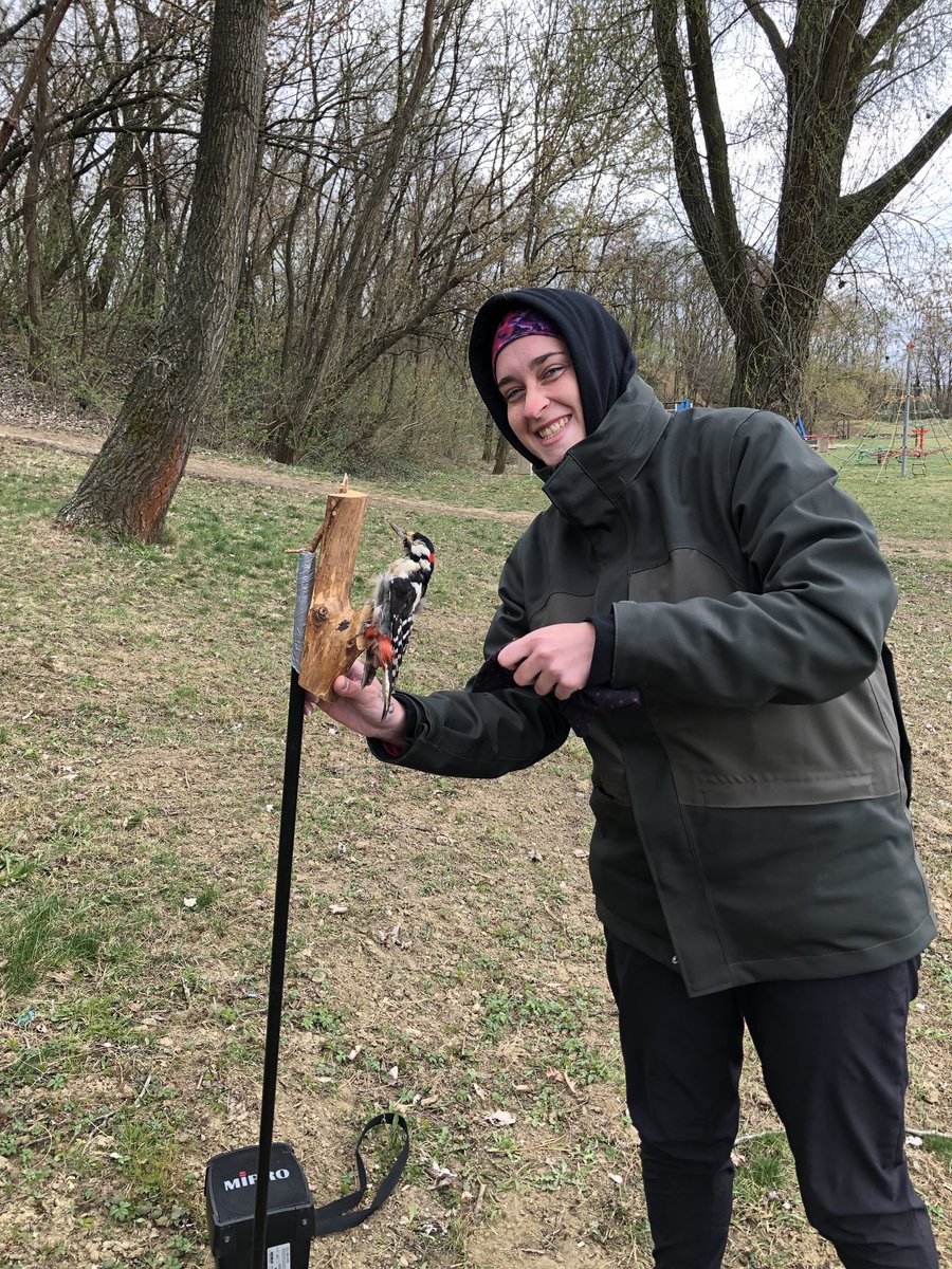Happy #internationaldayofwomeninscience from our team! 😍🐦🦜🦢🦅
