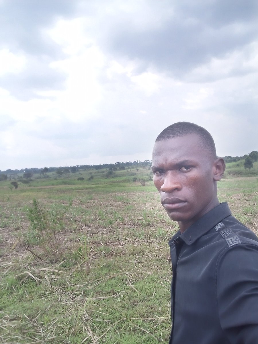 Matic Promoter tweet media