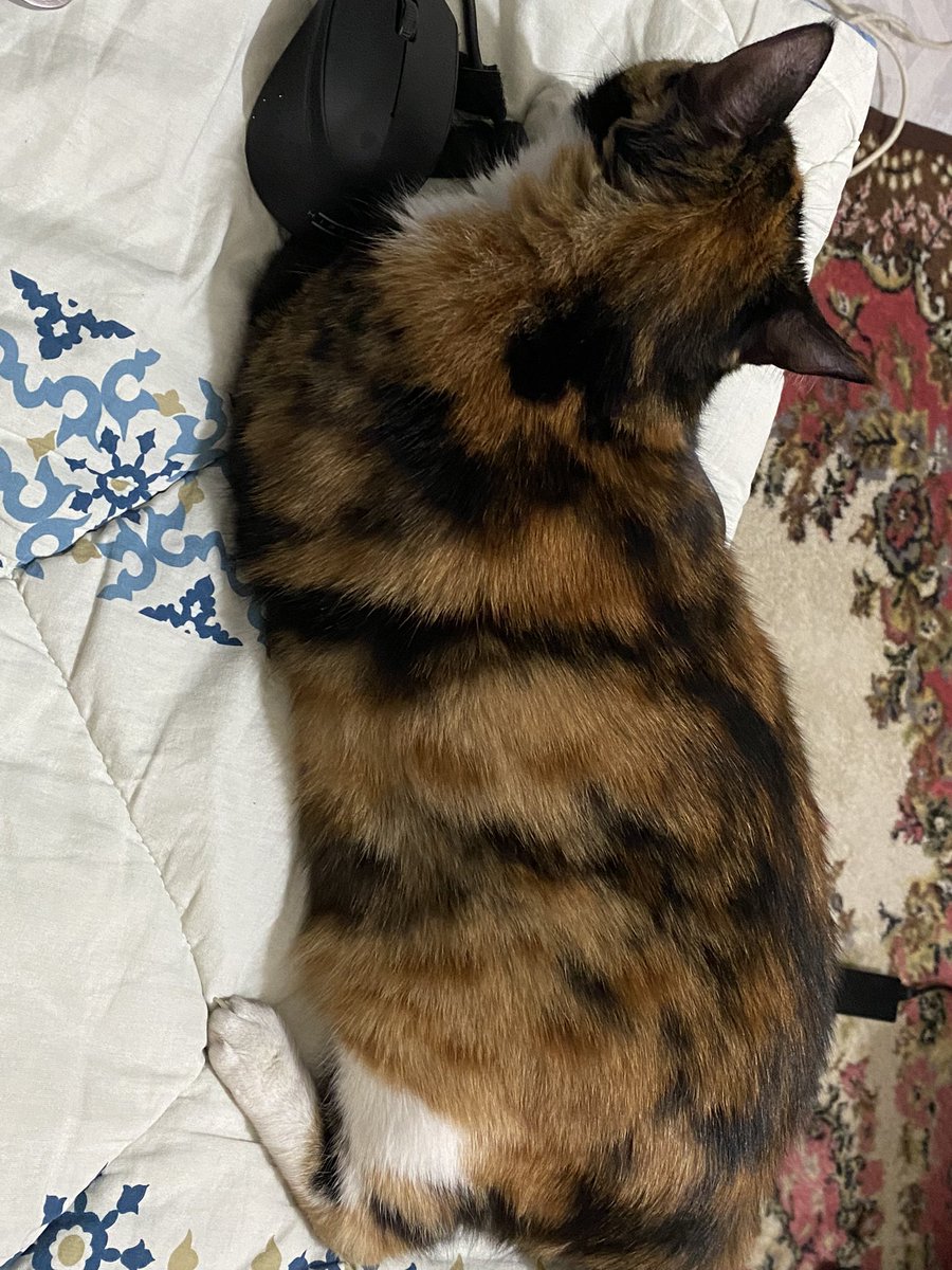 <a href="/SuziOnline_blog/">SuziOnline</a> <a href="/lordbugraoflaz/">Buğra</a> Kedim CEKU BALIM (cekus derseniz de bakar) kayıp! KAHRAMANMARAS ONIKISUBAT HAYRULLAH MAHALLESI SANDALZADE BULV SABIR APT en son buradaydi kacmis olabilir canli goren iletisime gecsin nolur. Ailemi kaybettim kedime yardım edemiyorum. Çipi var çip:no:991001005188366