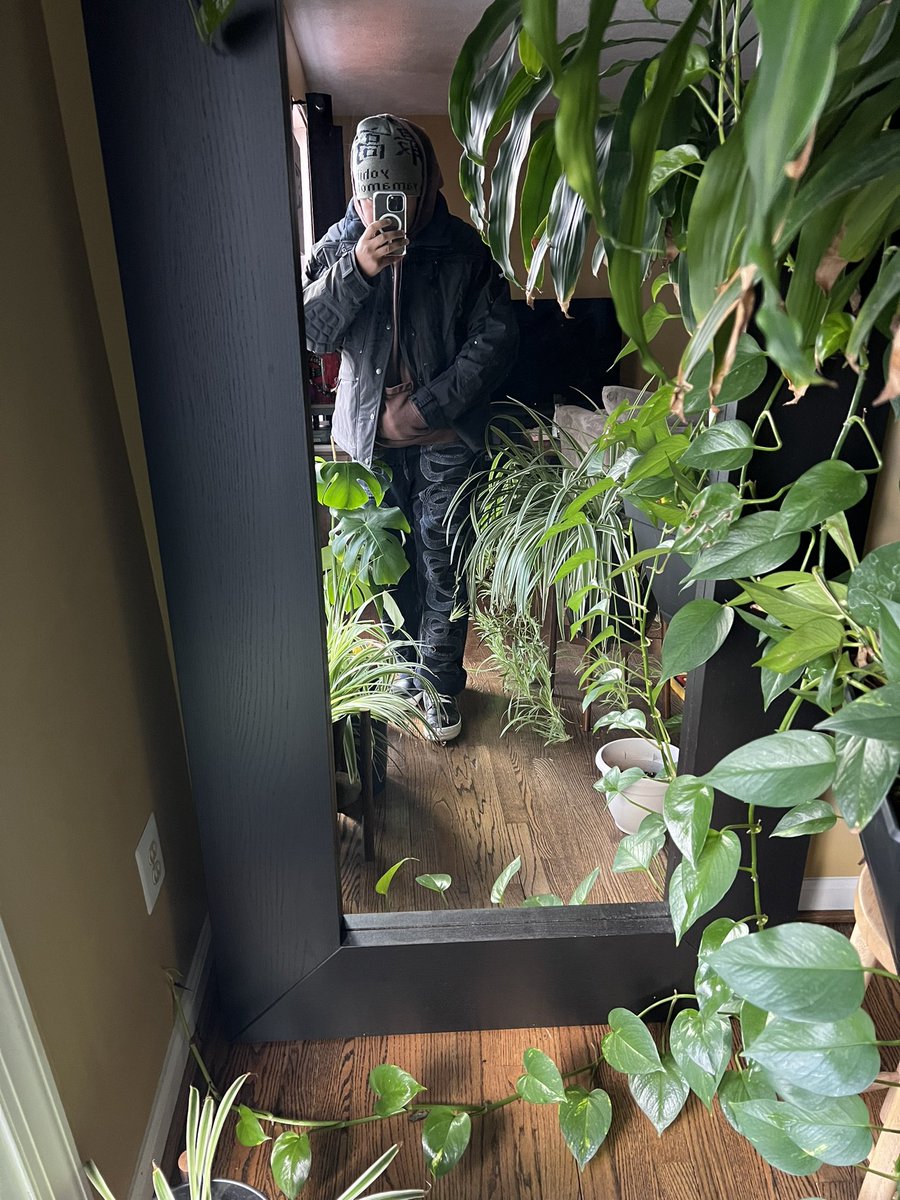 dexterfizz.net tweet media