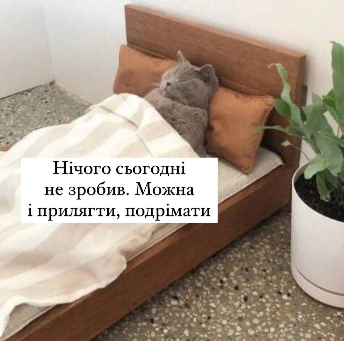 memagram's tweet image. Добраніч!
#хзчиймем
