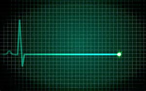 L'elettrocardiogramma di #Pillon dopo l'esibizione di #RosaChemical #Sanremo2023