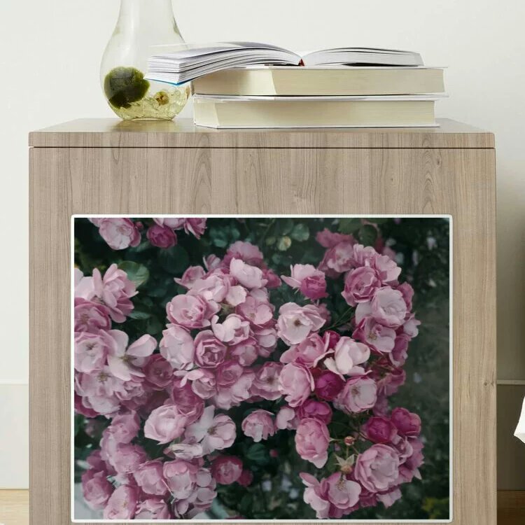 BranaghTh's tweet photo. https://t.co/6F8k4EKA6I
@redbubble #redbubbleartist #redbubbleshop #BuyIntoArt #BuyArtNotCandy #tshirt #pillows #interiorstyle #TweetOfTheDay #giftideas #branaghbel #NatureBeauty #photograph https://t.co/1T1mpGs23V