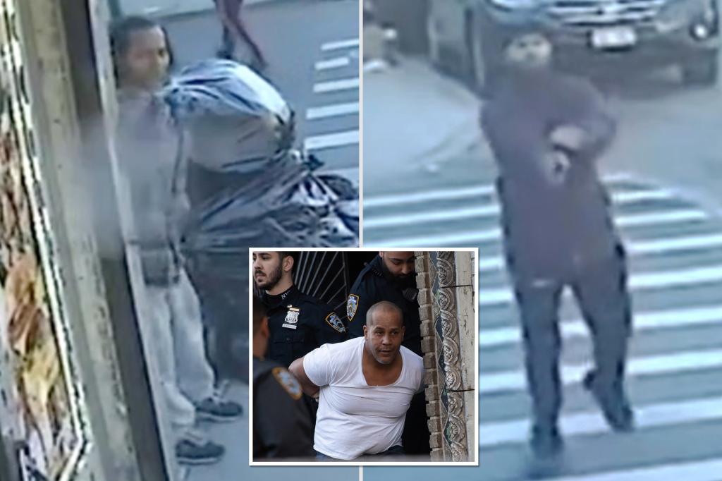New York Post on Twitter "Suspect arrested in deadly broaddaylight
