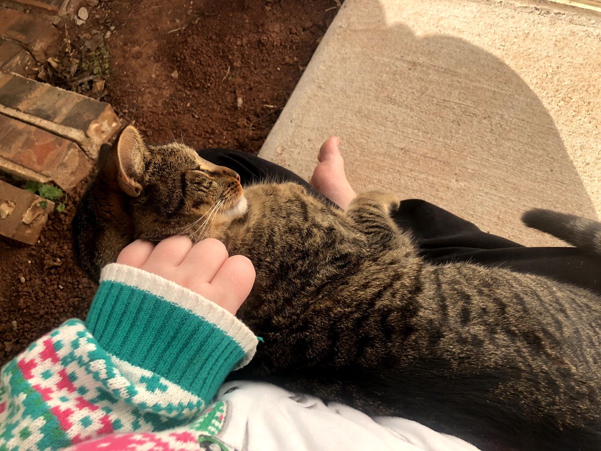 RachelKeeth's tweet photo. @HotTippic Aww, thank you! It’s well worn now, because back before we adopted Momo off the street I would wear it every time I went out in the cold to visit him. He loved it and would knead it and suck on the soft fabric! https://t.co/rIUv81qUlo