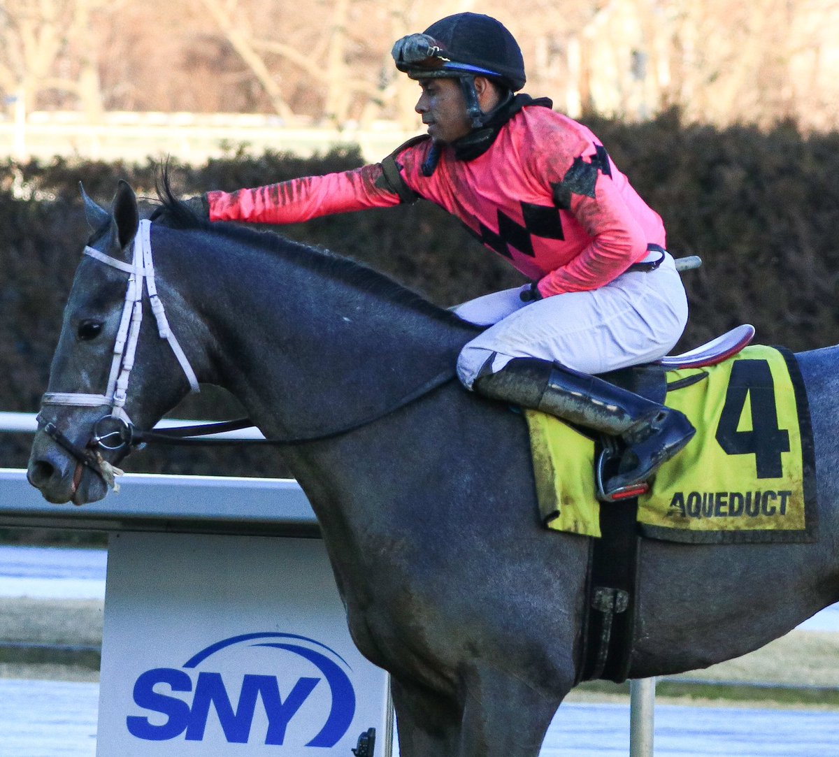 #HitShow powers away at the wire with @jockeyfranco to win the #Withers @bradcoxracing @KentuckyDerby @TheNYRA @HorseToWatch @DRFLivingston @DRFGrening @SadandSulk @NYRABets @Roadwarrior627 @failedtomenace @HorseRaceSite @HR_Nation #TheBigA #teamcox