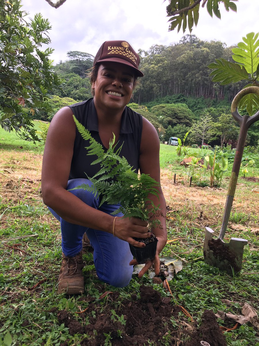 National Tropical Botanical Garden tweet media