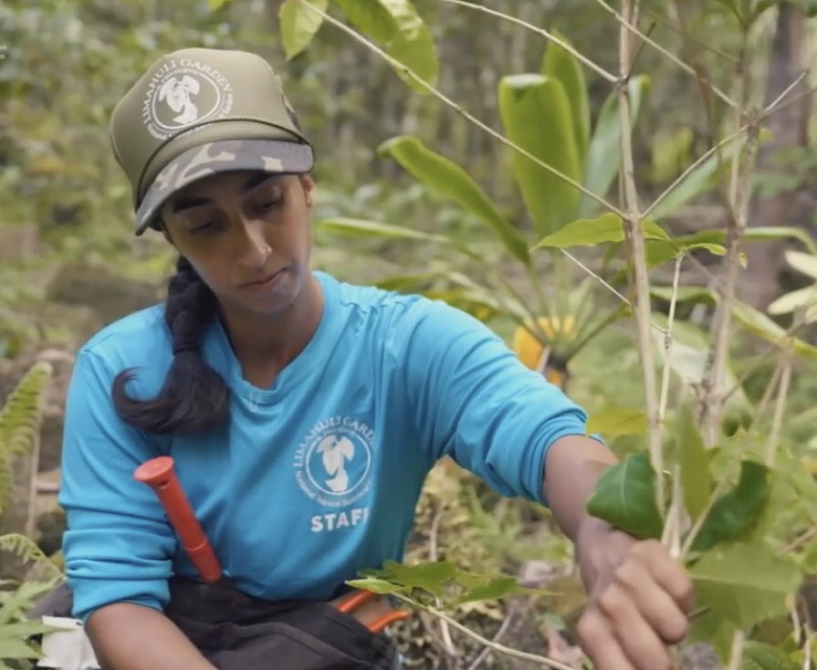National Tropical Botanical Garden tweet media