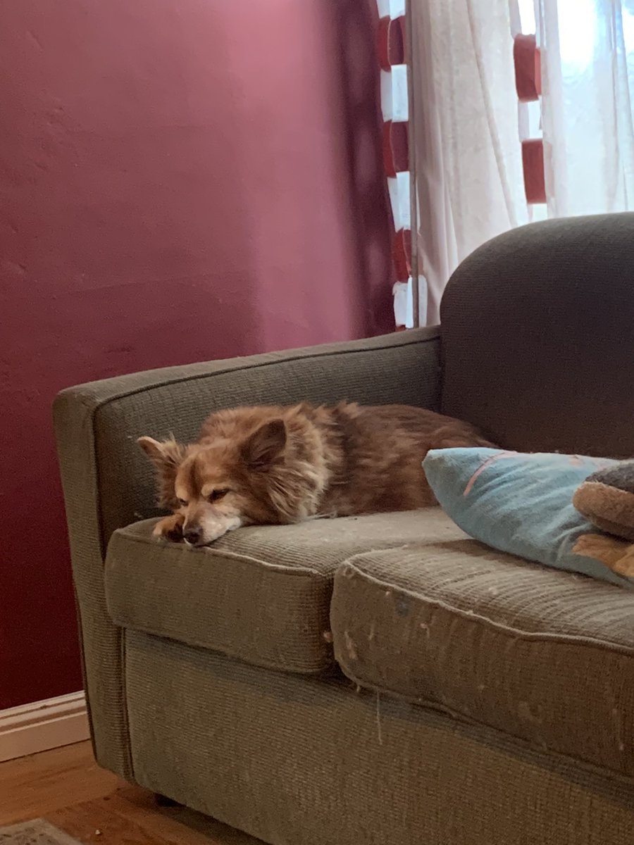 Craig Grilley tweet media