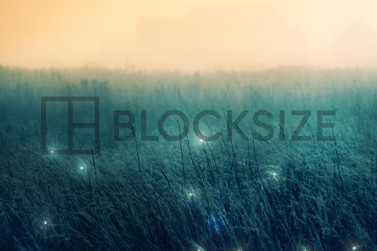 blocksizecap's tweet photo. Great news! Blocksize Capital has become BLOCKSIZE: 

https://t.co/UT9cK75ZfJ

#blocksizecapital #blocksize #digitalassets #blockchains #marketdata #chainlink #nodeoperations #oracles #defi https://t.co/x9X5amkuSE