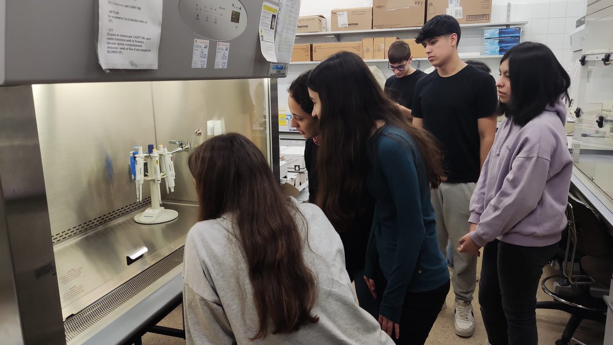 InstitutSants's tweet photo. L’alumnat de Biomedicina ha visitat la Unitat de Biologia Cel·lular i Genètica Mèdica de la UAB i ha assistit a la conferència sobre “Fagoteràpia per al control de patògens bacterians”. Moltes gràcies per obrir-nos les portes i compartir la vostra feina. @UABBarcelona #batxipau https://t.co/WE8dxAe8kI