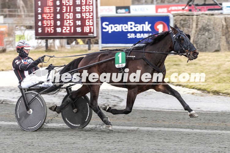 Freedom tar sin andre V75-seier for i år ✨🥇 #stallwolden