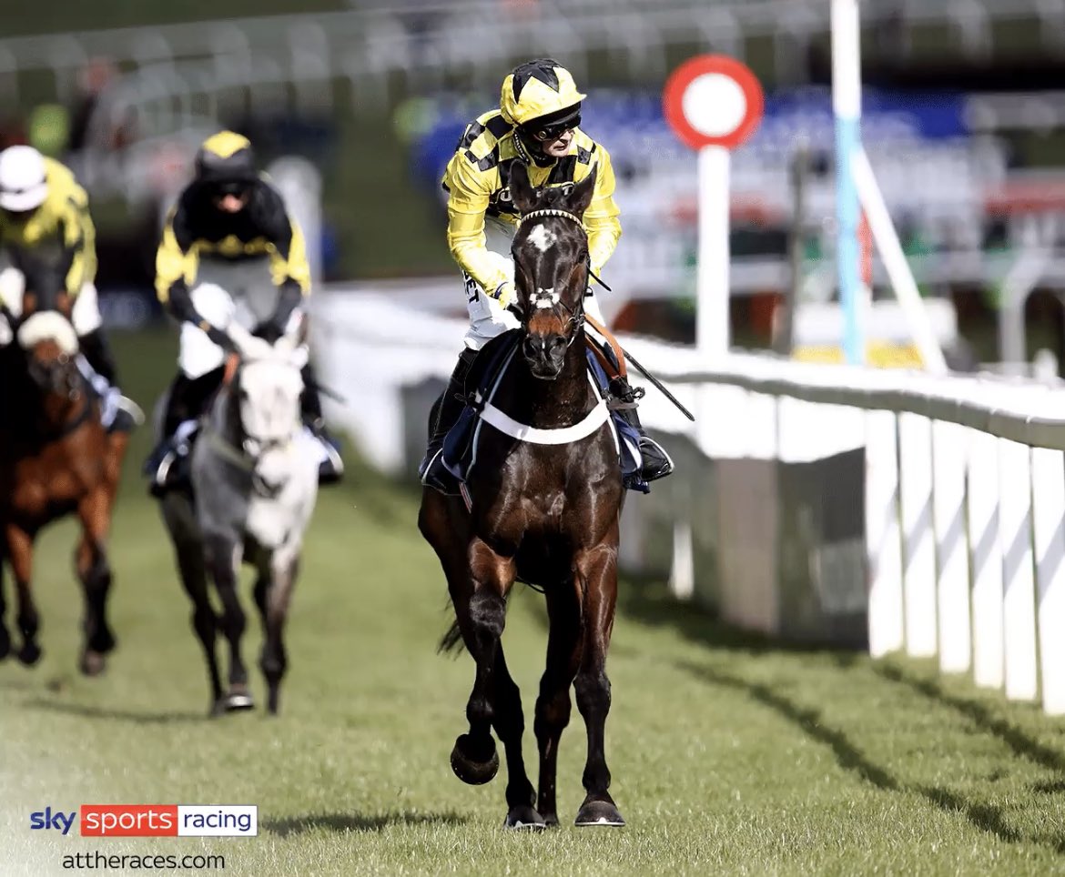 Daws118's tweet photo. @AtTheRaces @Ascot https://t.co/HkKqjkTIsw