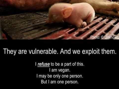 Always stand up for the weak and innocent!🙏🏻🌱