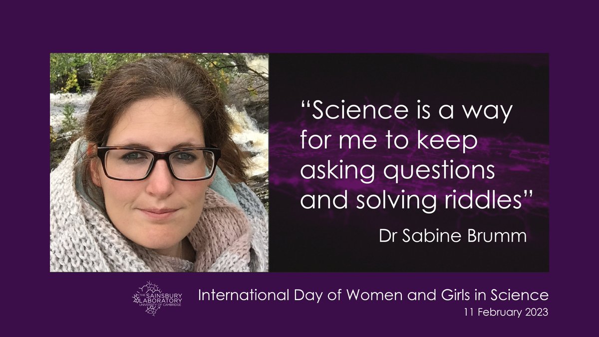 Meet @BrummSabine who is using novel genome editing techniques to produce barley plants with broad and long-term disease resistance.
➡️slcu.cam.ac.uk/women-in-scien…

#WomenInScience #WomenInSTEM #WomenInScienceDay