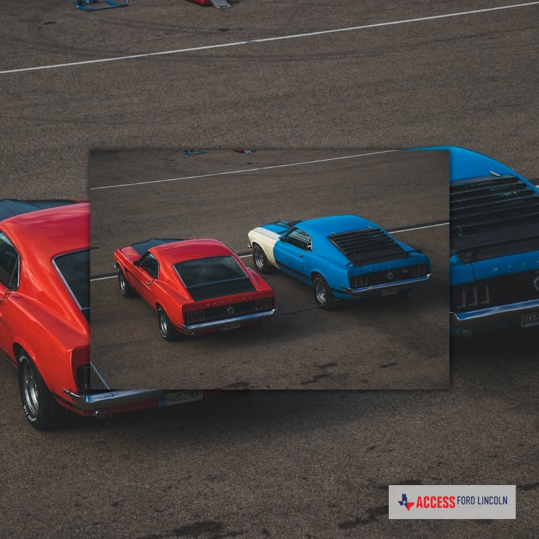 AccessFord's tweet image. Happy National Make A Friend Day!😊

We hope you find a new buddy!

#accessford #corpuschristi #Makeafriend