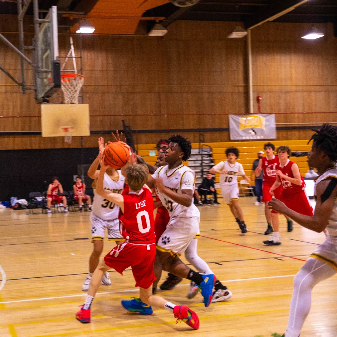 lelyceeSF's tweet photo. High School students wrap up the game season in style. Lots of wins and memories for our Bear teams. Catch them on Monday for their last game 🏀⛹️
#LFSFbears #LFSFsports #LFSFcommunity https://t.co/zinzzJK2R6