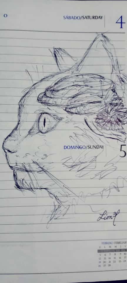Lion3L's tweet photo. Cat's brain #handdrawings https://t.co/t3NEhEIVpA