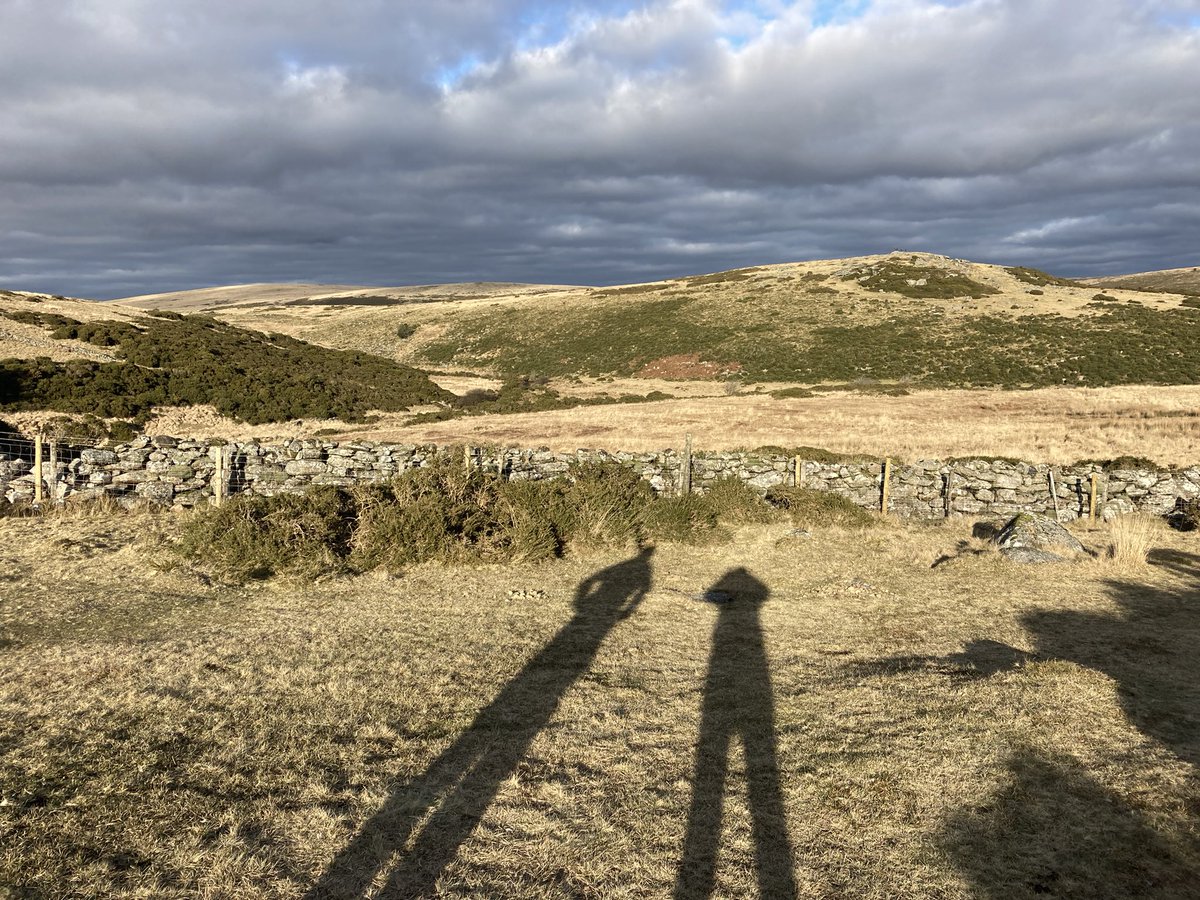 millman_diane's tweet photo. So good to be back on #Dartmoor. #GreyWethers #EastDartFalls https://t.co/aHxd0BkmNY