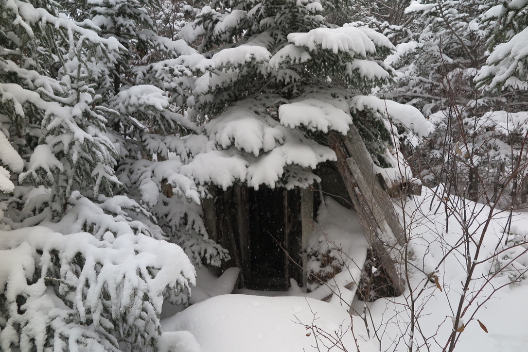 mikep_lbi's tweet photo. "Root Cellar in Winter" at Little Bay islands #newfoundland #photo https://t.co/EwBCrowRMp