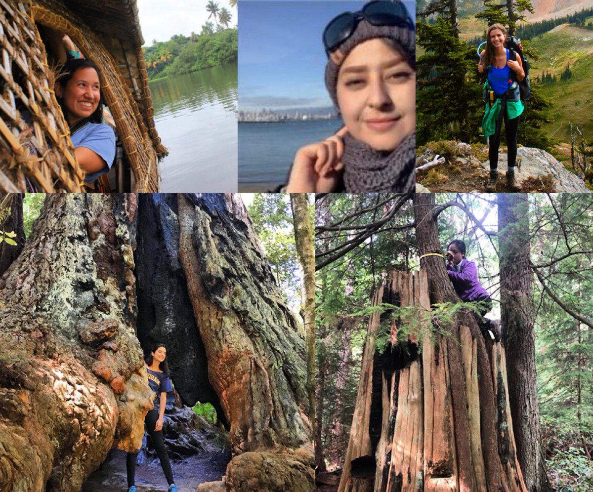 Sunderland Lab tweet media